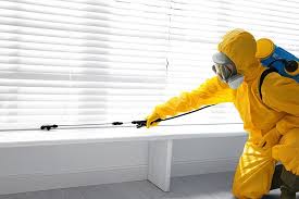 Best Organic or Eco-Friendly Pest Control  in Junction, TX